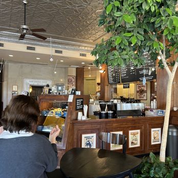 Shaw's Coffee - Ordering counter - Coffee & Tea Near Me - Saint Louis, Missouri