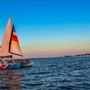 Photo of Dolphin Watch-Shell Island Cruises
