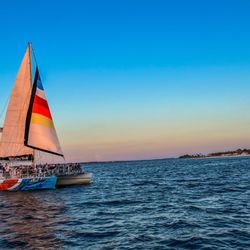 Dolphin Watch-Shell Island Cruises