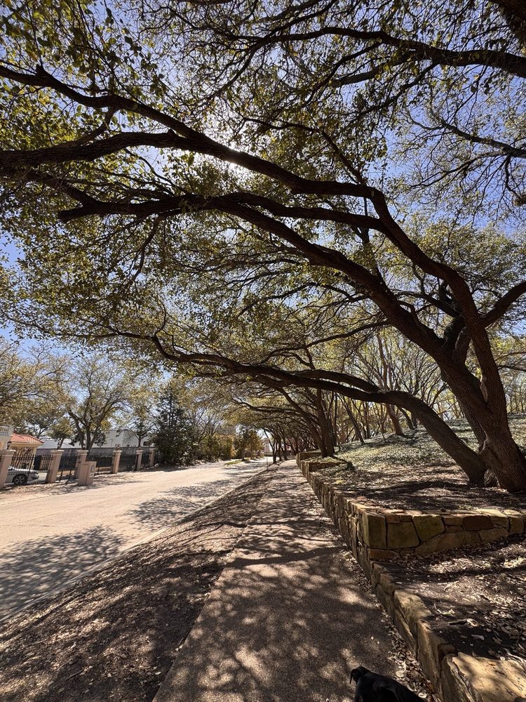 Celestial Park Image