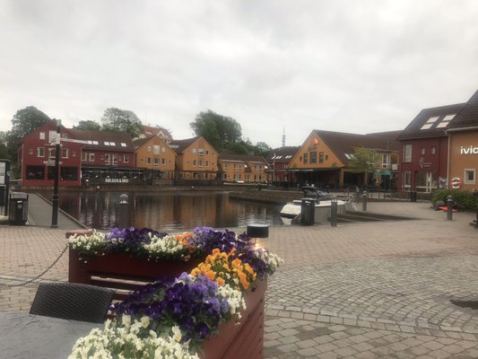 Fish Market by null