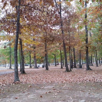 Cameron Brown Park - Fall - Parks Near Me - Germantown, Tennessee