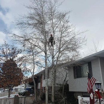 Timber Ridge Tree Service - Tree Services Near Me Timber Ridge Tree Service - Tree Services Near Me