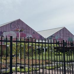 Ruibal’s Plants Of Texas