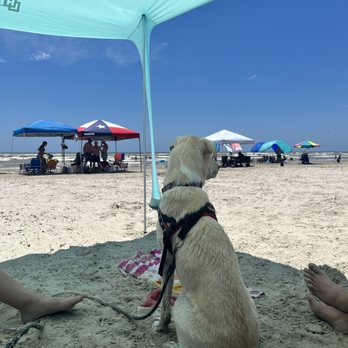 Dancing Dunes - Vacation Rentals Near Me - Port Aransas, Texas