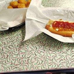 Hwy 55 Burgers Shakes & Fries - Hotdog all the way no onions And tater tots
