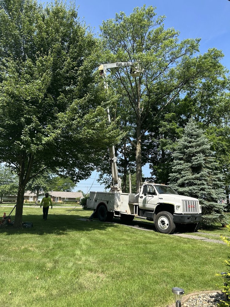 Buena Vista Tree Service - tree service in Fort Wayne, IN