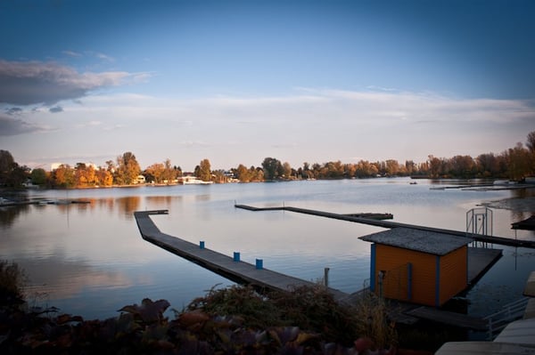 Alte Donau by null