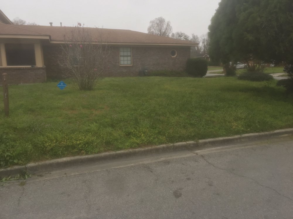 Huntley Lawn Care - tree service in Savannah, GA