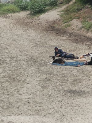 Ocean Echo Inn & Beach Cottages by null