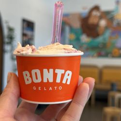 Bonta Gelato - Lime Cream & Raspberry