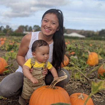Petaluma Pumpkin Patch And Amazing Corn Maze - A field of pumpkins! - Pumpkin Patches Near Me - Petaluma, California Petaluma Pumpkin Patch And Amazing Corn Maze - A field of pumpkins! - Pumpkin Patches Near Me - Petaluma, California