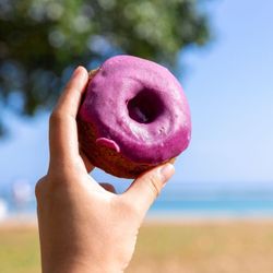 Down to Earth Organic & Natural - Kapolei