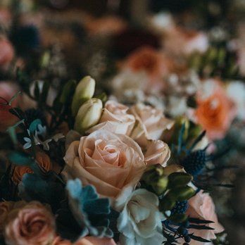 Pat Frey Designs - Party & Event Planning Near Me Pat Frey Designs - Party & Event Planning Near Me