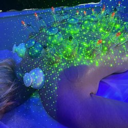 Healing Rituals Wellness Center - Green Light therapy
