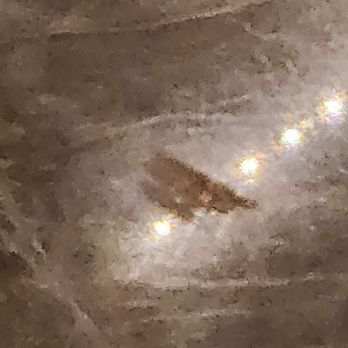 Progressive Dimensions - Scratches they did but won't fix - Countertop Installation Near Me - Toms River, New Jersey