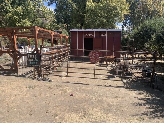 Willowbrook Apple Farm by null