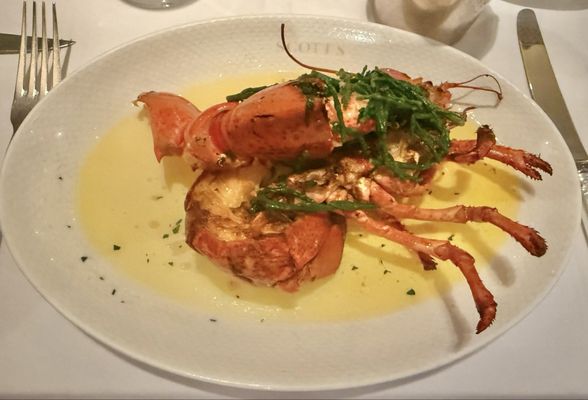 Scott's by null Scott's by null