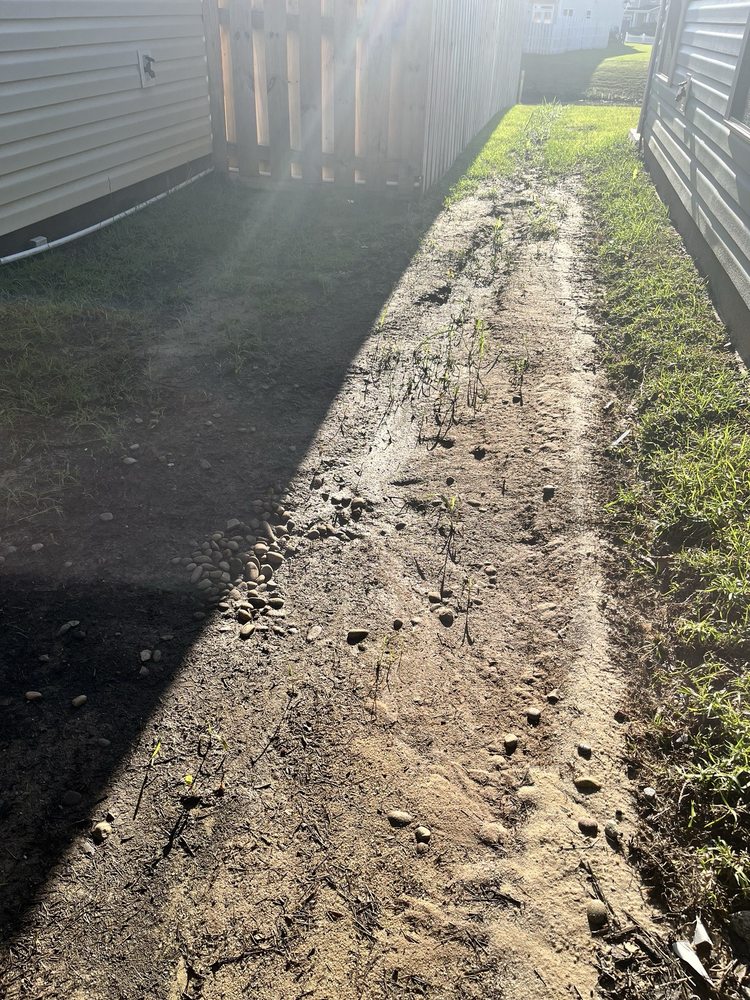 Marsh's Views - tree service in Savannah, GA