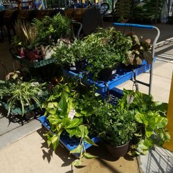 Walmart Garden Center - Looks like they are starting to get new plants in.