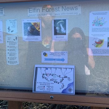 Los Osos Elfin Forest - Parks Near Me