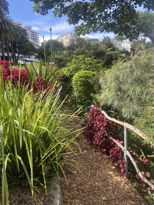 Wendy Whiteley's Secret Garden by null