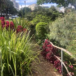 Wendy Whiteley's Secret Garden