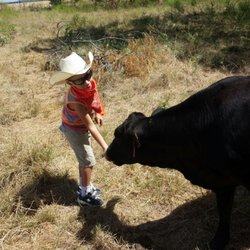 Prado Services - No. One helper Luke Prado!