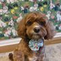 Photo of Animal Lovers Pet Salon
