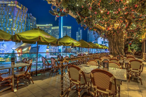 Rainforest Cafe by null