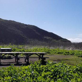 Wildcat Camp - Another view of Site #3a & #3b looking southeast. - Campgrounds Near Me - Point Reyes Station, California