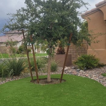 Moon Valley Nurseries - Front yard. - Nurseries & Gardening Near Me - Coachella, California