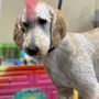 Earthwise Pet Supply - Formerly See Spot Shop