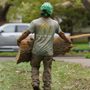 Photo of Renstrom Tree Service