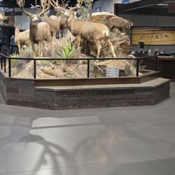 Cabela's