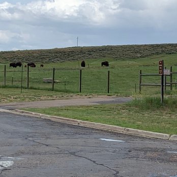 Bear River State Park - Live bison! So much fun to watch. - Visitor Centers Near Me - Evanston, Wyoming