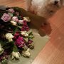Photo of Bridge Road Florist