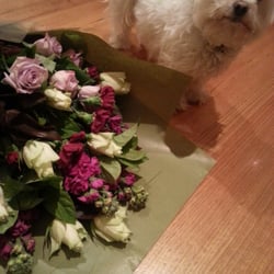 Bridge Road Florist - Lovely flowers!