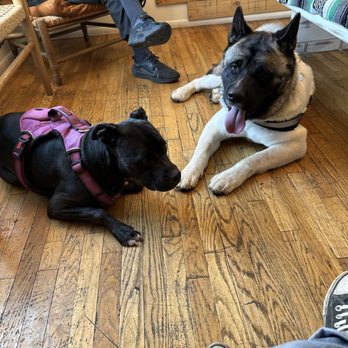 Old Town Albuquerque - Play date. Sheehan is pet friendly also. Yay!!! - Shopping Centers Near Me Old Town Albuquerque - Play date. Sheehan is pet friendly also. Yay!!! - Shopping Centers Near Me