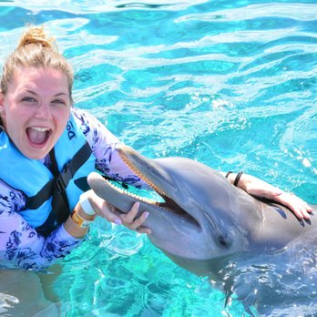 Dolphin Discovery - VIP Dolphin encounter- go all out! It's worth it - Aquariums Near Me - Cozumel, ROO Dolphin Discovery - VIP Dolphin encounter- go all out! It's worth it - Aquariums Near Me - Cozumel, ROO