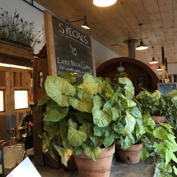 Blooming Hill Farm - Specials - Farmers Market Near Me - Monroe, New York
