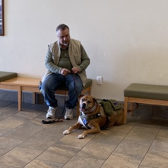 A Veteran's Objective - Pet Training Near Me A Veteran's Objective - Pet Training Near Me