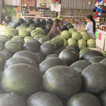 Sally’s Produce - Watermelon - Farmers Market Near Me - Klondike, Texas Sally’s Produce - Watermelon - Farmers Market Near Me - Klondike, Texas
