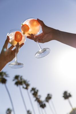Andaz Scottsdale Resort & Bungalows by null