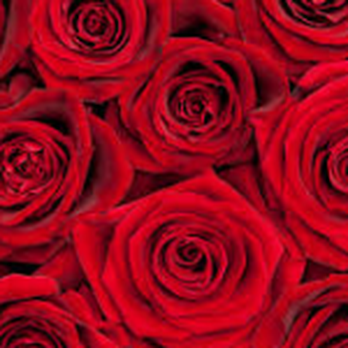 Susan's Floral - Wedding Planning Near Me - Wichita, Kansas Susan's Floral - Wedding Planning Near Me - Wichita, Kansas