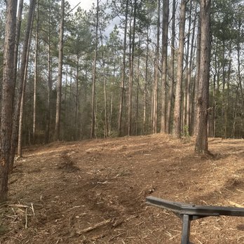 Prodigy Land Management - Tree Services Near Me