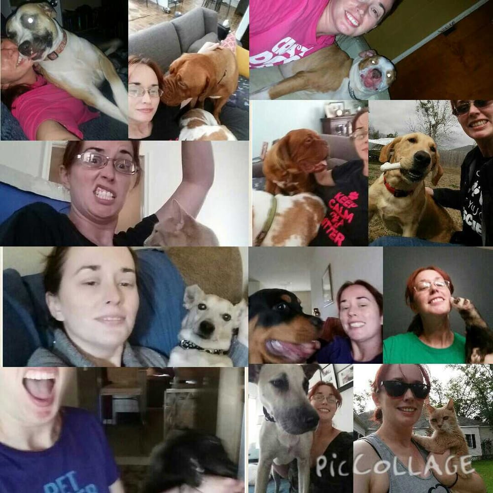 PET PARENT PARADISE Updated September 2024 10 Photos 1234 Wilson