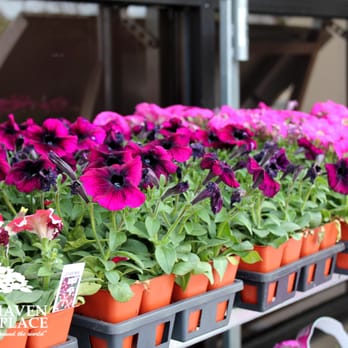 Brookhaven Market - a variety of flowers for sale - Grocery Near Me - Burr Ridge, Illinois