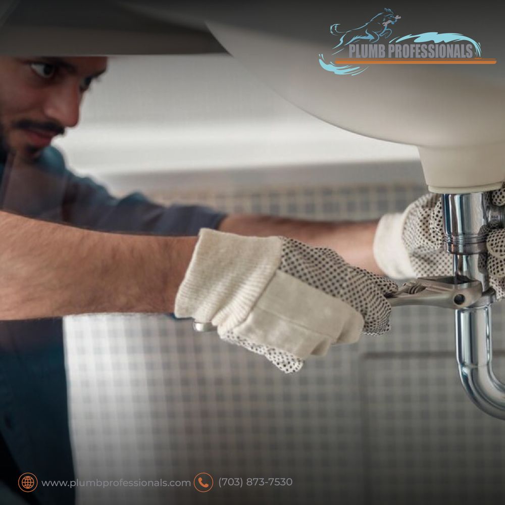 Slide of Plumb Professionals