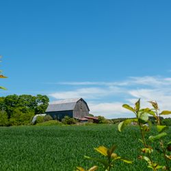 Midland Food Tours